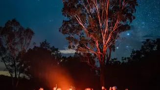 Where Family Campers Can Enjoy Bonfires And Stargazing On Peaceful Winter Getaways