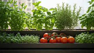 Kitchen Gardens Are The New Urban Flex