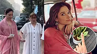 Related Stories banner