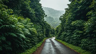 Monsoon Turns Kerala Into A Budget Travel Secret