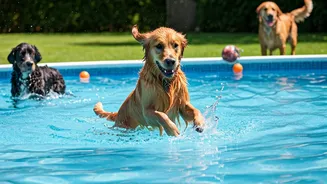 Canine Pool Party Playdates Are Hottest Neighborhood Trend Today