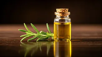 How To Get Healthy Hair With Oils and Foods