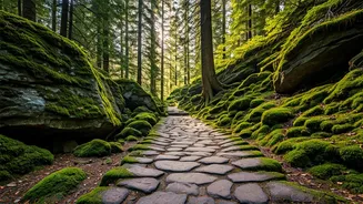Skip Switzerland For Historic Scenic Trails In Majestic Bhutan
