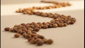 Horse Gram Is Returning Through Soups, Bowls and Staples: A Practical Guide for Indian Home Cooks