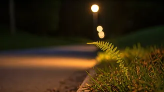 Why A 10-Minute Walk After Dinner Is Trending