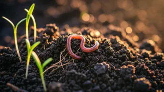 Why Composting Is More Than Just Gardening