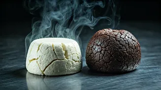 Related Stories banner