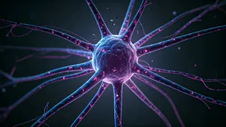 Hidden Stress: Internalizing Emotions Linked to Memory Decline in Older Chinese Americans