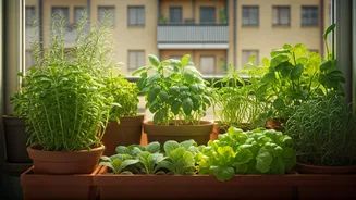 Apartment Gardens Are Having A Moment