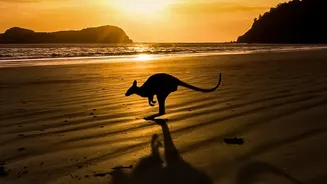 Indian Travellers Discover Queensland Through Beaches, Wildlife and Rainforests