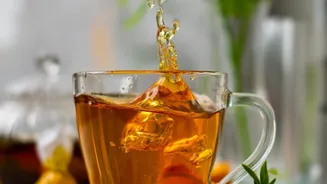 Why Cold-Brewing Nilgiri Orthodox Tea Retains High Antioxidants Without Bitter Taste