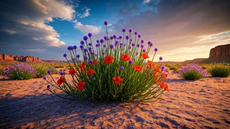 Monsoon Flowers Do Not Get More Magical