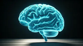 Boost Your Brainpower: The Mind-Calming Secret for Memory and Stress