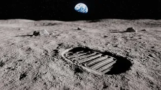 NASA Experiments Raise Fresh Questions About Microbial Contamination on the Moon