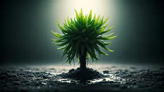 Waterlogged Roots Make Healthy Plants Collapse Fast