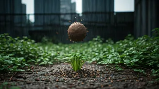 Why Environmental Groups Start Urban Seed Bombing This Week