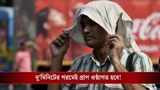 Extreme Heat Risk: গায়ে ফোস্কা পড়বে! ভয়ঙ্কর গরম এবার, আসছে El Nino