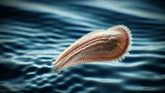 Parasite Alert: New Discovery in Portugal's Lake Alqueva Sparks Health Concerns for Swimmers