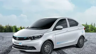 How Abundant Sodium Raw Materials Could Reduce Manufacturing Costs For Budget Indian Electric Cars