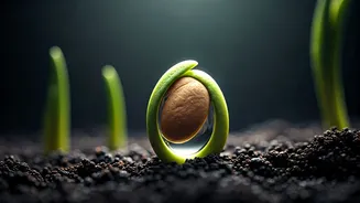 Can Plants Hear the Rain? Groundbreaking MIT Study Reveals Seeds Respond to Sound