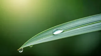 Monsoon UTIs: Ignoring Early Signs Can Lead to Serious Health Issues