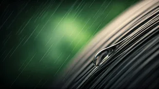 Monsoon Hair Care Needs Less Panic, More Routine