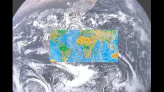 Why This World Map With 1,642 Wild Animals Has Everyone’s Hearts