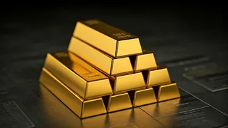 Navigating Large-Cap Funds: A Guide for Investors