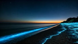 Nature's Hidden Stars Shine This Season