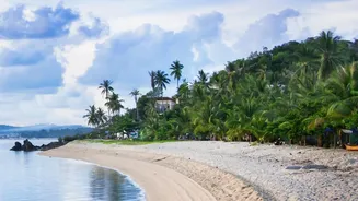 Solo Travel Hacks: Explore Serene South Goa Beaches Agonda And Galgibaga Today