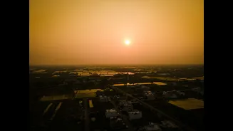 Over 700 Stubble Burning Cases Recorded in Punjab, Air Pollution Impacts Delhi