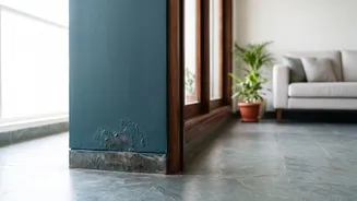 Post-Monsoon Dampness Can Linger: What Renters Should Inspect At Home
