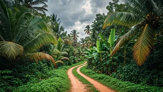 Kerala Trips Need Smart Planning As Rains Advance