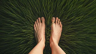 Fitness Groups Love Rhythmic Barefoot Grass Walking Breaks
