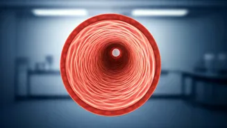 Healthy Arteries: Expert Tips to Reverse Damage