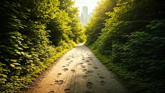 Forget Rigid Gyms, Scenic Trail Running Is Taking Over Metros