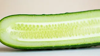 Cucumber Seeds Offer a Small Health Boost