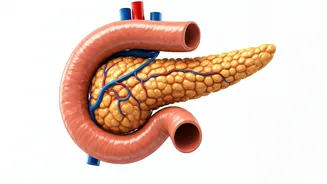 Understanding Blood Sugar Levels & Type 2 Diabetes Damage