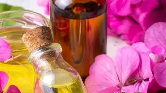 Carrier Oils And Proper Dilution Can Reduce Direct Essential-Oil Exposure
