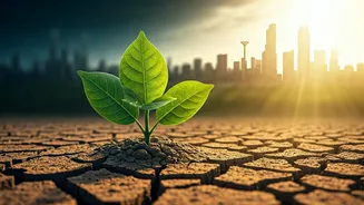 Why Climate Education Matters More Than Ever