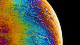 What to Learn About IMAP Mapping of the Solar Bubble from NASA's First Public IMAP Science Data