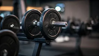 Weights Are India’s Most Practical Fitness Upgrade