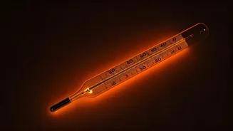 Heat Explainers Can Make Climate Feel Personal
