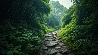 The Rainy Season Trek Guide Every Beginner Needs