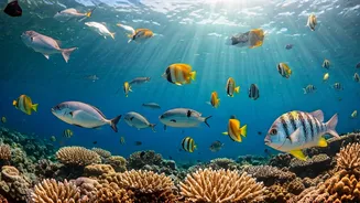 Do Fish Feel? Unpacking Fish Emotions with Science