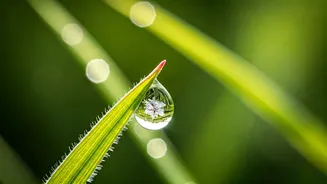 Every Observation Counts In Modern Science