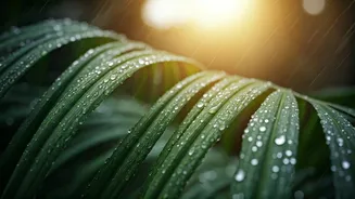 Delhi's Warm Morning Needs A Rain-Watch Plan