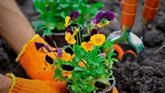 Start Seasonal Garden Planning with Kharif Timing, Not Just Random Seed Shopping after India's Three Growing Seasons