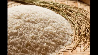 US Sanctions On Iran: Why India’s Rice Exports To Tehran Are Holding Up