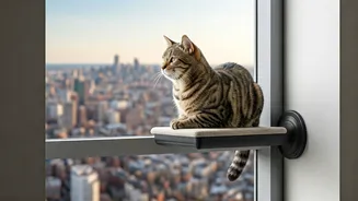 Secure Mounted Window Lounges Give Cats Maximum Skyline Views